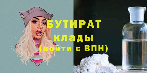 шишки Арсеньев
