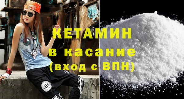 шишки Арсеньев