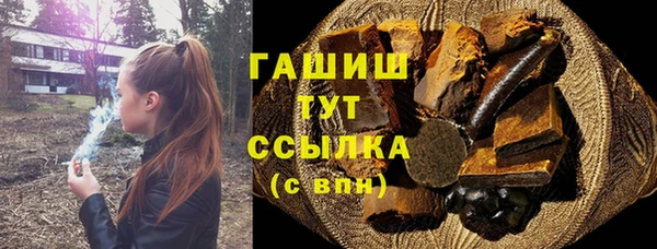 шишки Арсеньев