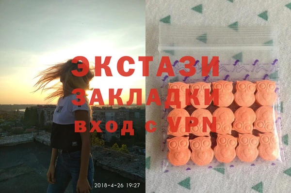 шишки Арсеньев