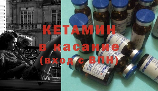 шишки Арсеньев