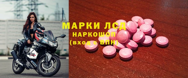 шишки Арсеньев