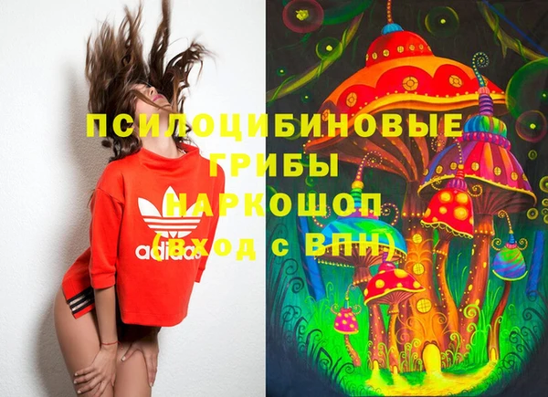 шишки Арсеньев