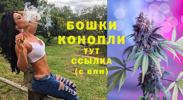 спайс Аркадак