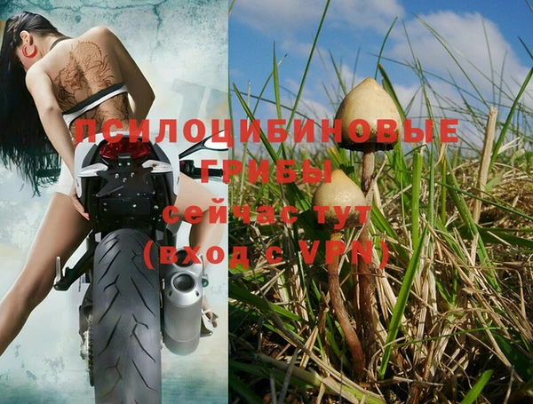круглые Армянск