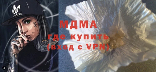 шишки Арсеньев
