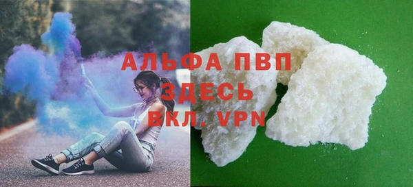 шишки Арсеньев
