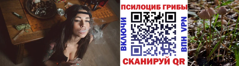 Галлюциногенные грибы Psilocybe  Макаров 